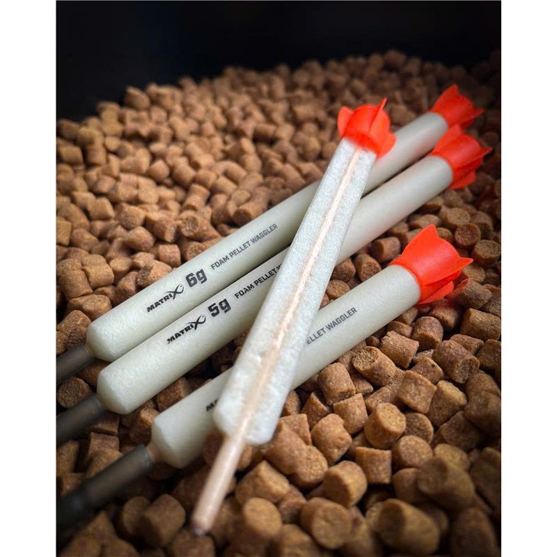 Carpe Fox Magasin -Carpe Fox Magasin z6674401332016 3d9a69b16cb7f9e4e22d709ea73a384e