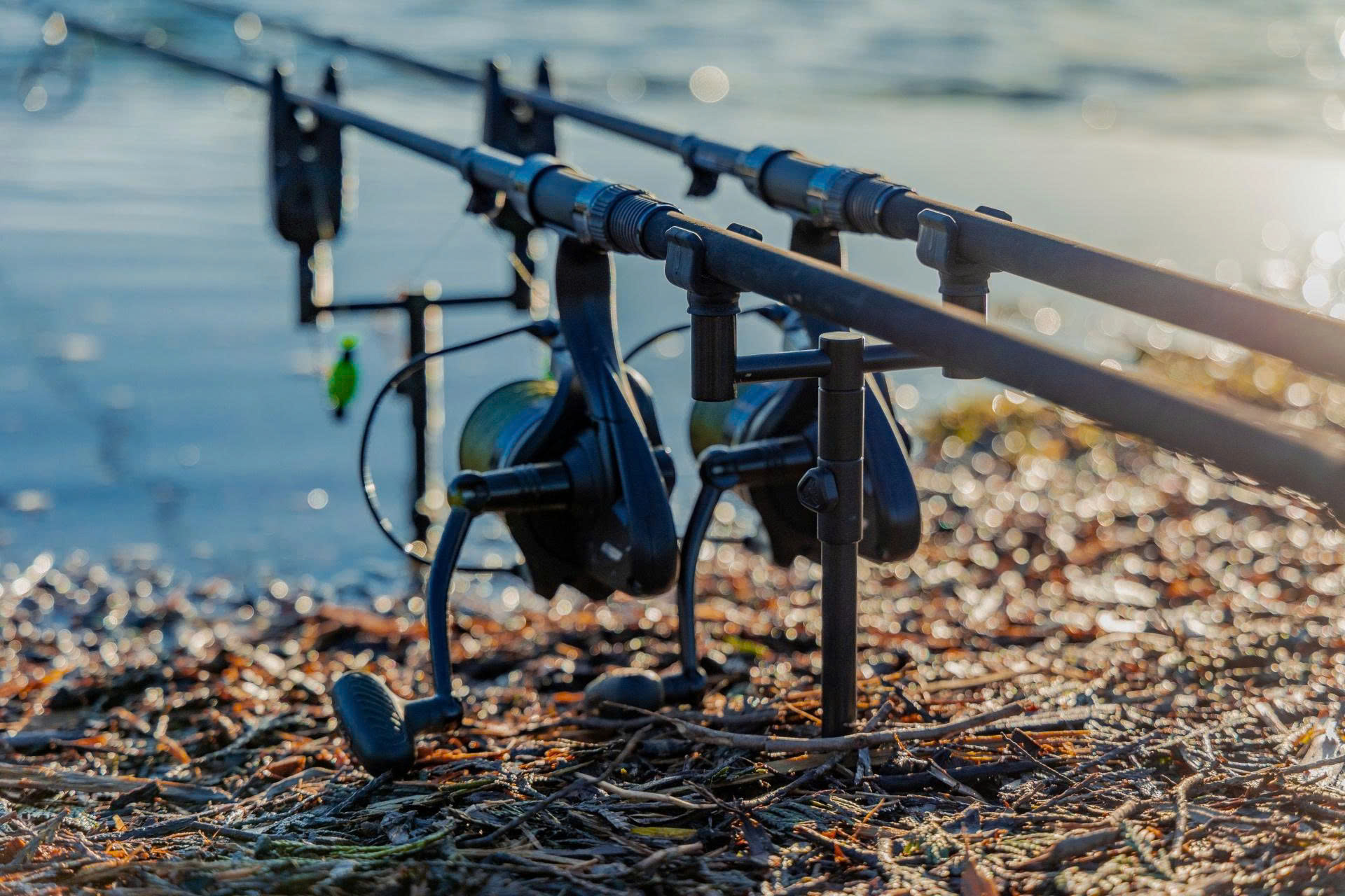 Carpe Fox Magasin -Carpe Fox Magasin z6677789291285 ff4a280657fc549398956ceeccec69a8